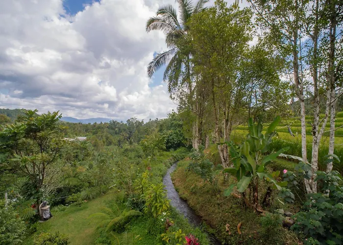 Little Garden Munduk