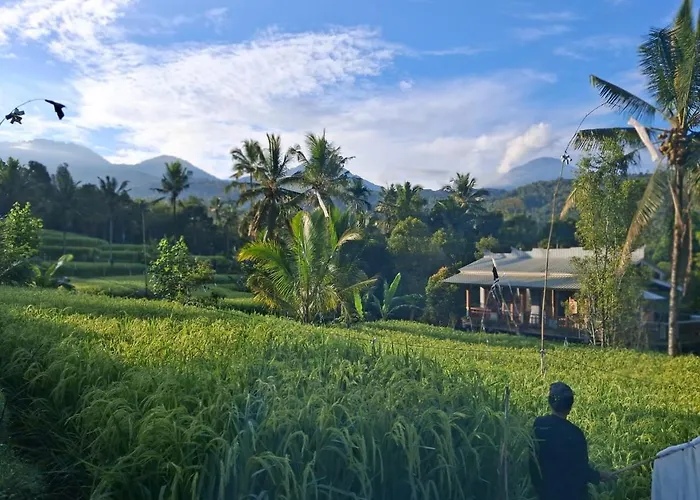 Little Garden * Munduk